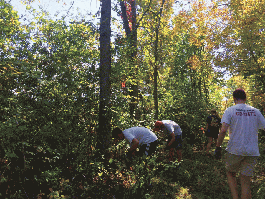 CELEBRATING COMMUNITY OUTREACH: COVE volunteers help clean up trails in a previous day of service. This year, students worked with organizations such as Community Bikes, Madison Lane and Community Garden to improve the Hamilton community.