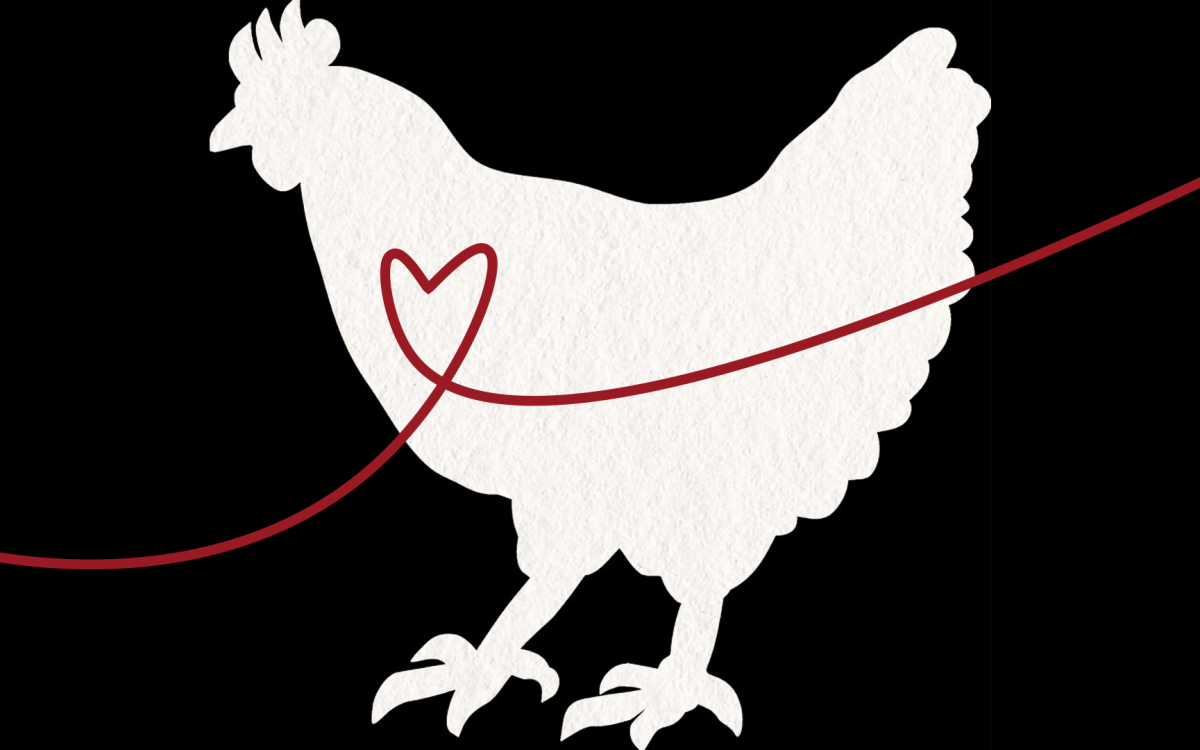 marry me chicken
