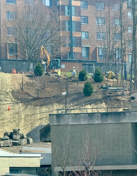 Peter’s Glen Planting, Construction Continues