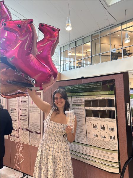 Sophie Cucinotta: All Across Colgate